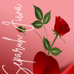 Buku kumpulan puisiSeparuh Jiwa